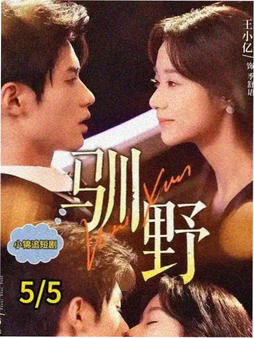 空巷回声 悬疑剧集封面